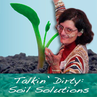Elaine soil