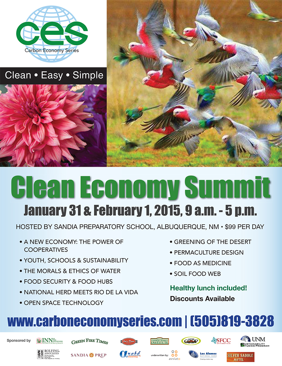 CarbonEcon-2015-Summit-8.5x11-121814 WEB