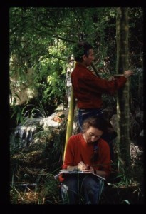 image01-205x300